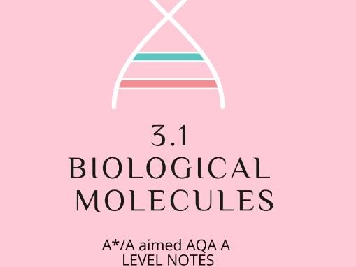 A*/A 3.1 BIOLOGICAL MOLECULES NOTES