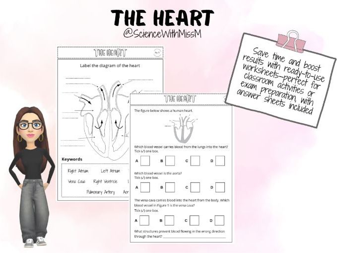 The Heart KS4 Worksheet LA