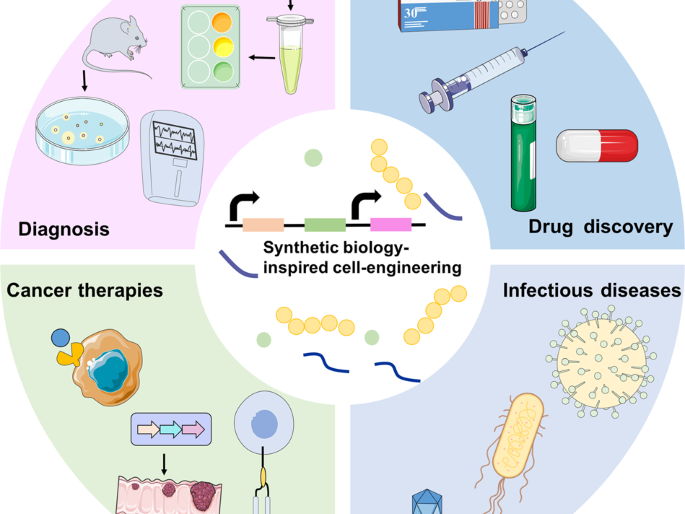 A Level Biology - Genetic technology applied in medicine