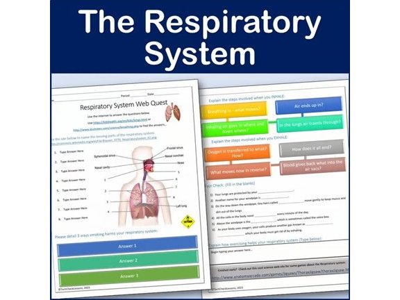 Respiratory System Webquest | Editable Digital Science Activity