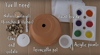 Learn at Chester Zoo - How to make a toad abode [VIDEO]