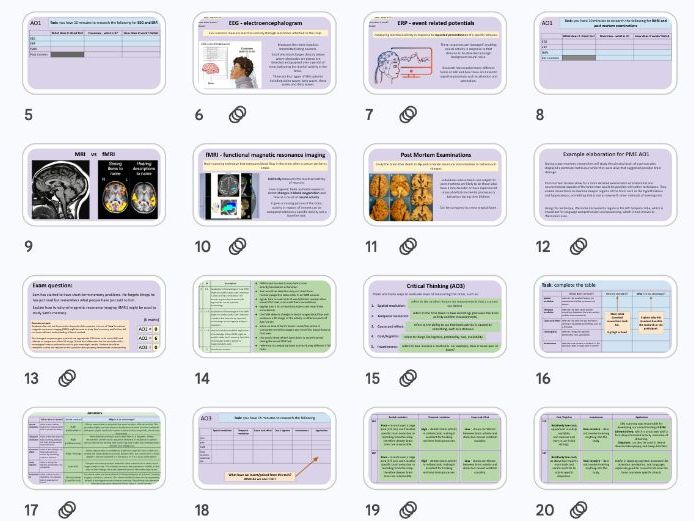 A Level Psychology: Ways of Studying the Brain - Biopsychology NEW AQA 2025 Specification