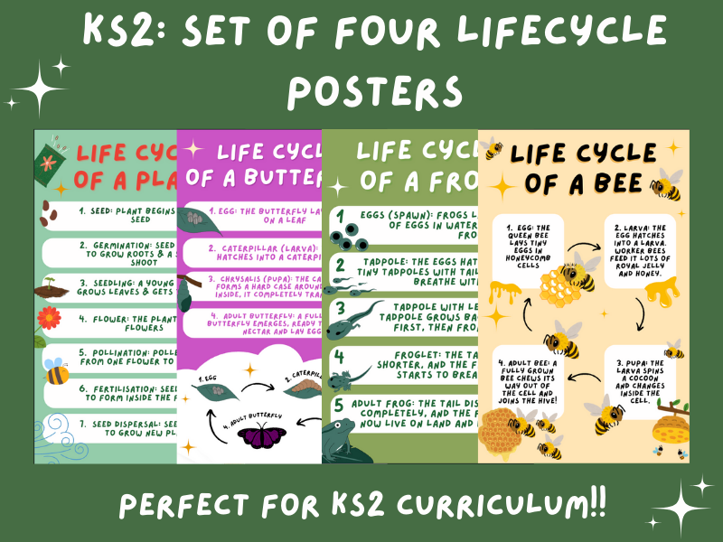 Life Cycle: Plant, Butterfly, Frog and Bee