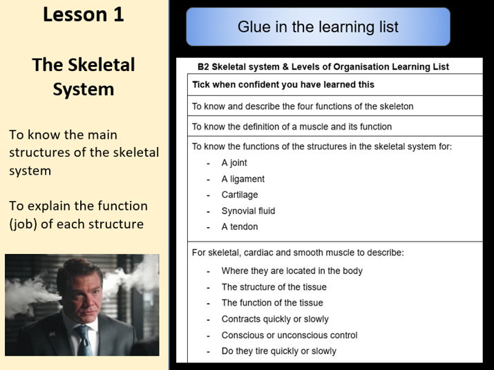 Springboard KS3 Y7-8 B2 Skeletal Syst/Organisation 10 Lesson Bundle