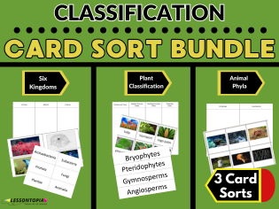 Classification Card Sort Bundle | Six Kingdoms, Plants & Animal Phyla | KS2–KS3 Science