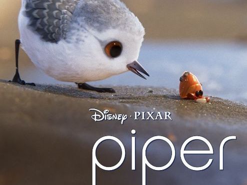 Piper - Pixar Short Film - Differentiated Scaffolded Workbook