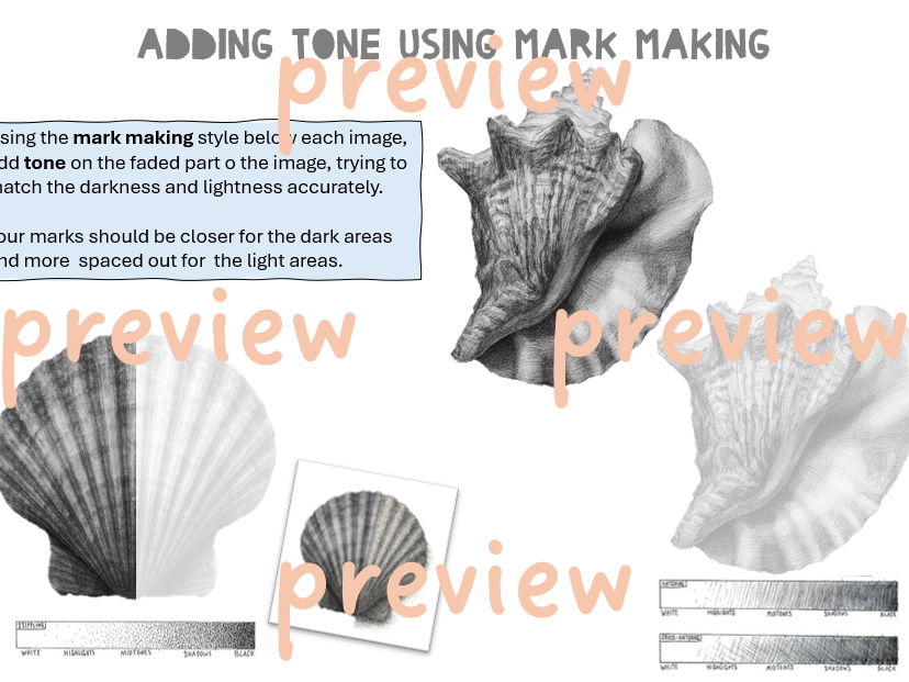 Sea Life - Adding Tone Using Mark Making (faded images)