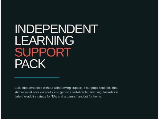Independent Learning Support Pack | ADHD SEND Scaffolds | Fade TA Support | Help-Seeking Protocol