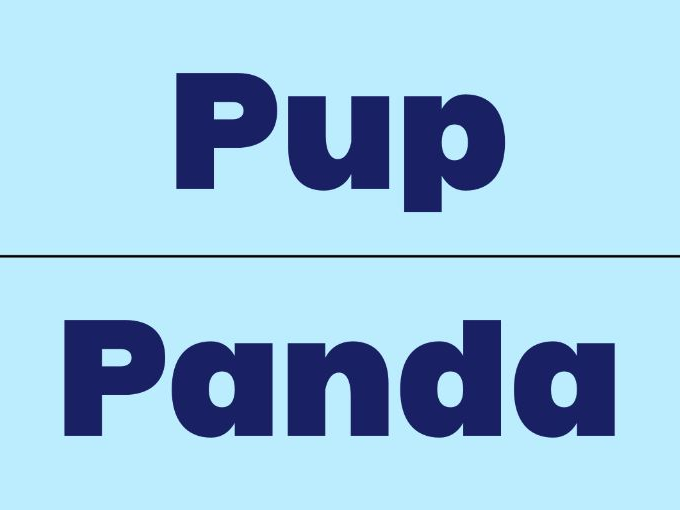 Simple Phonetics Letter P Alphabet Flashcards
