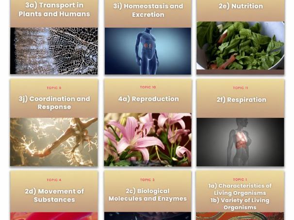 IGCSE BIOLOGY EDEXCEL REVISION RESOURCE