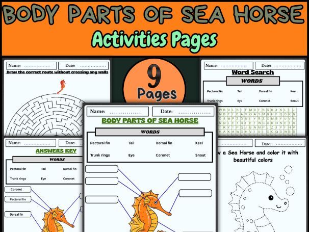 Sea Horse Body Parts Activities – Labeling, Coloring, Word Search & Maze