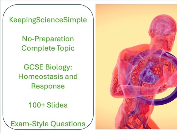 Bundle - Homeostasis and Response