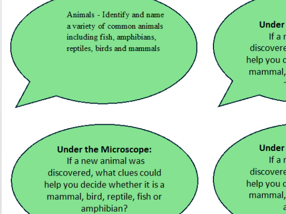 Greater depth extension questions for science - Year 1