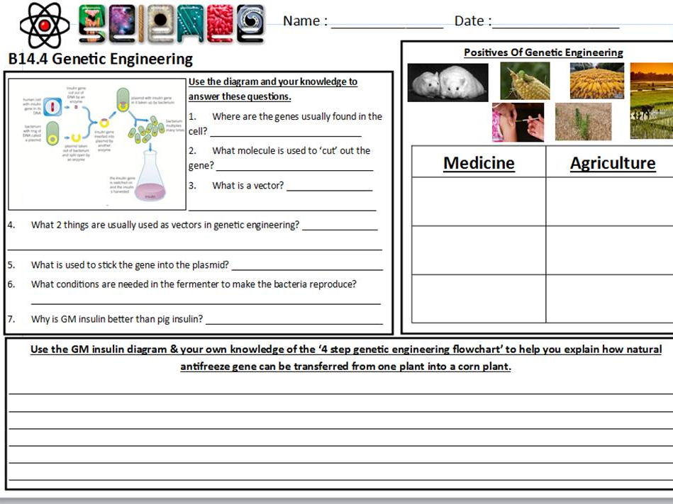 Genetic Engineering - AQA GCSE (4.6.2) (B14.4)