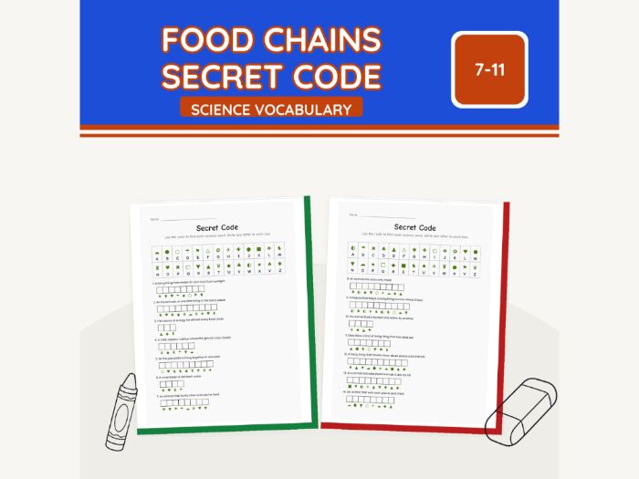 Food Chains Secret Code KS2 Science | 7 pp