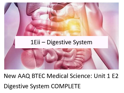 NEW: AAQ BTEC Medical Science Unit 1Eii Digestive System COMPLETE
