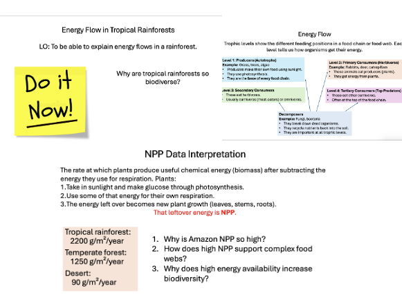 L5 Energy Flow in Rainforests - Edexcel IA2 Geo Ecosystems