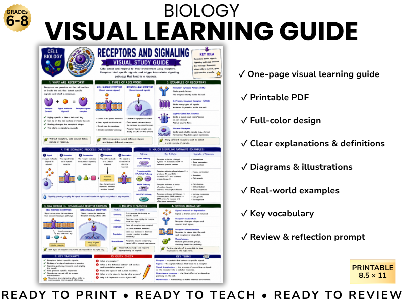 RECEPTORS & SIGNALING Biology Visual Learning Guide | Grade 8 & Middle School Science