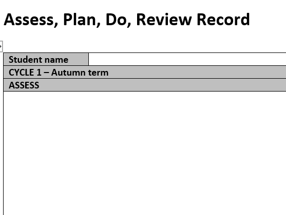 Assess, Do, Plan, Review template