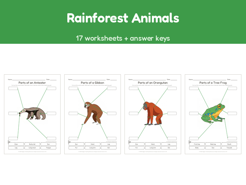 Rainforest Animals | Label the Parts Worksheets | 17 Sheets + Answers | Ages 5-7