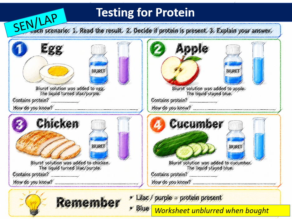 Testing for Protein