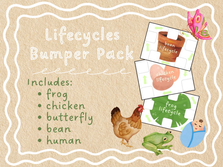 Lifecycles - cut, sort & stick