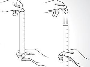 NEW AQA Biology GCSE Required Practical Revision - 7 HUMAN REACTION ...