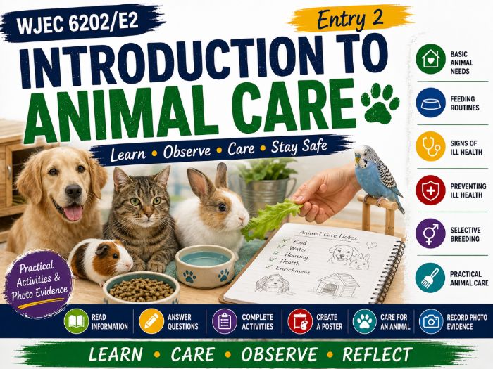 WJEC Entry 2 Introduction to Animal Care | 6202/E2