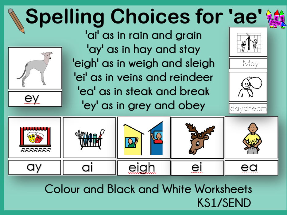 Spellling Choices for 'ae' Worksheets