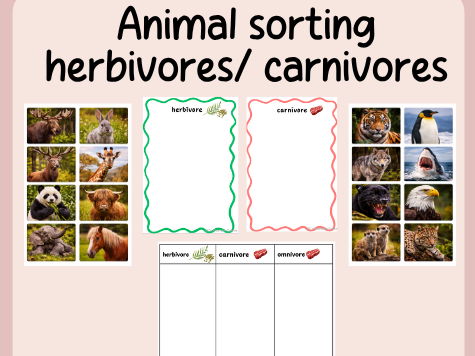 Animal sorting- herbivore-carnivore-omnivore- KS1 Science- Continuous provision