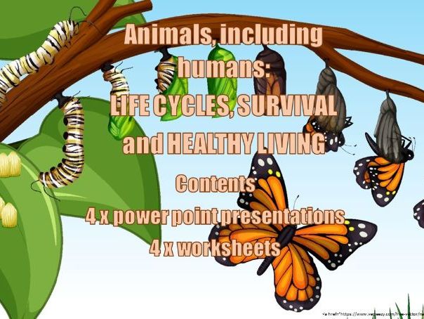LIFE-CYCLES, SURVIVAL and HEALTHY LIVING (Animals including humans Primary Science)