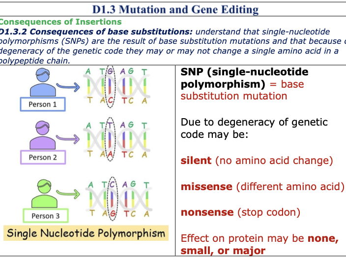 D1.3 Mutation and Gene Editing REVISION SUMMARY