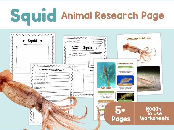 Squid Research Project | Ocean Animal Science Worksheets