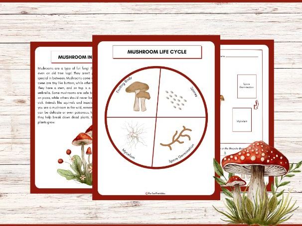 Mushroom Life Cycle Worksheet- Plant Science Unit Study With Fun Facts!
