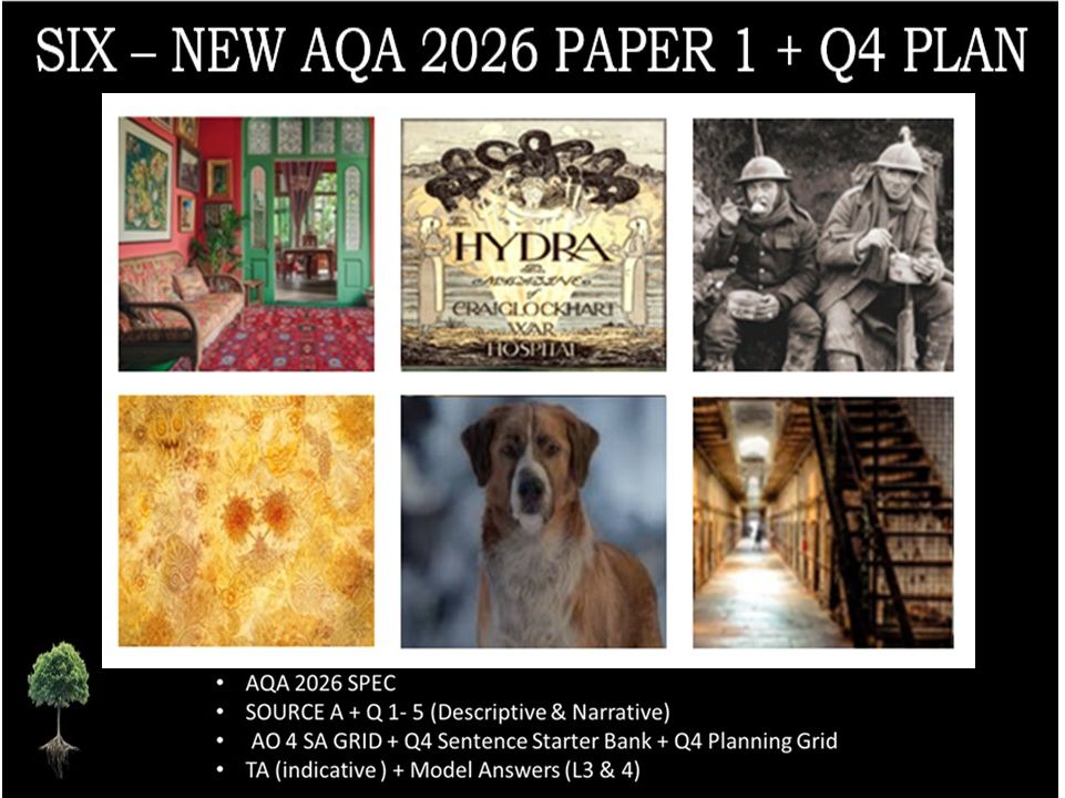 SIX - NEW PAPER 1 | 2026 FULL MOCK | Q4 PLAN