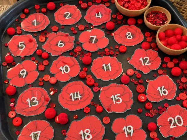 Remembrance Day Poppy Counting Cards 1–20 | EYFS Fine Motor Activity