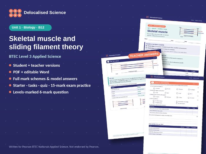 Skeletal Muscle and Sliding Filament Theory | BTEC Applied Science