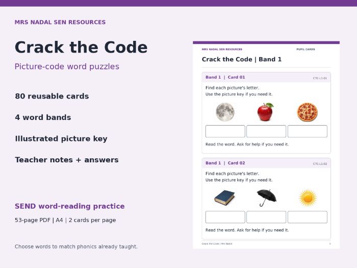 Crack the Code | 80 SEND Word Puzzles