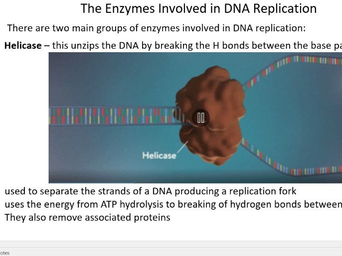 A Level Biology: DNA Replication & Enzymes Lesson (PPT, 3 Videos & Cut-and-Stick Activity)