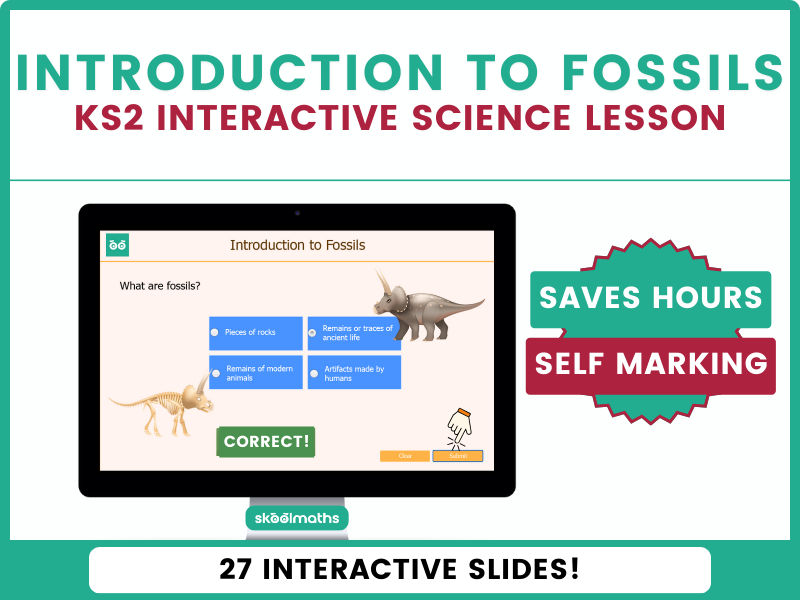 Rocks and How Fossils are Formed Digital Science Lesson with Self-Marking Activities for Year 3