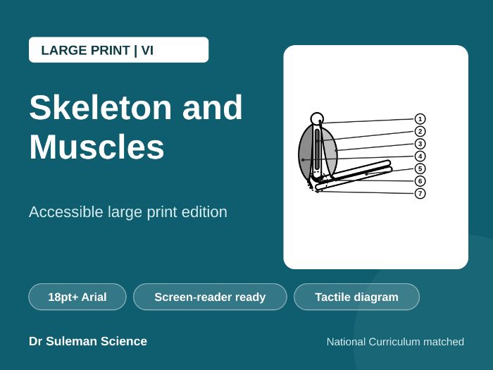Skeleton and Muscles Large Print VI KS3
