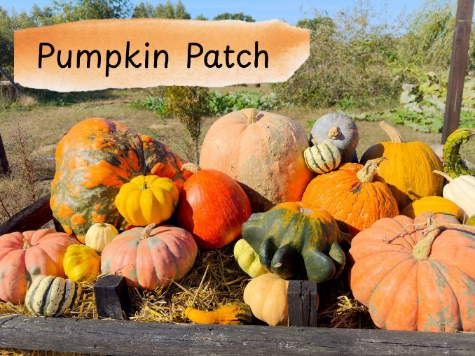 Pumpkin Patch Playdough Mats