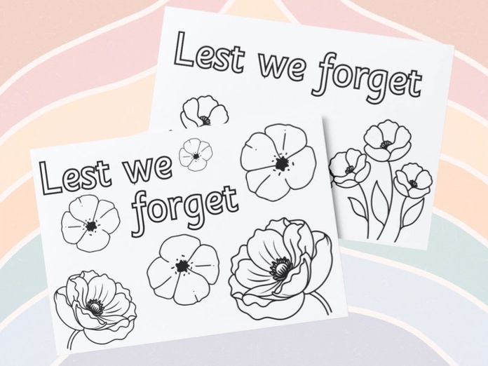 Remembrance - Paint/Colour Poppy Sheet