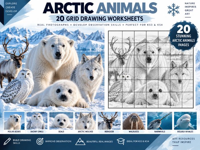 Arctic Animals Grid Drawing Worksheets | 20 Wildlife Art Activities | KS3 & KS4