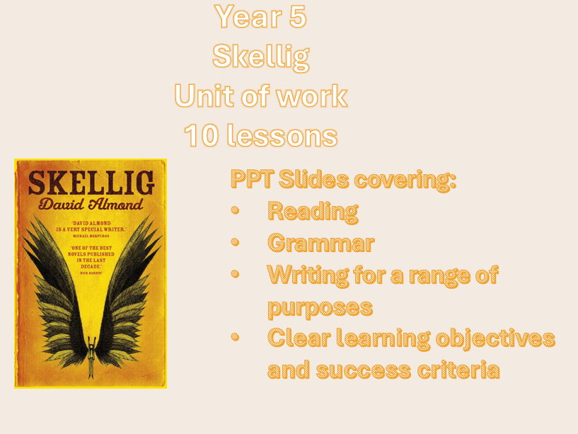 Year 5 Skellig Lesson Sequence (10 lessons)