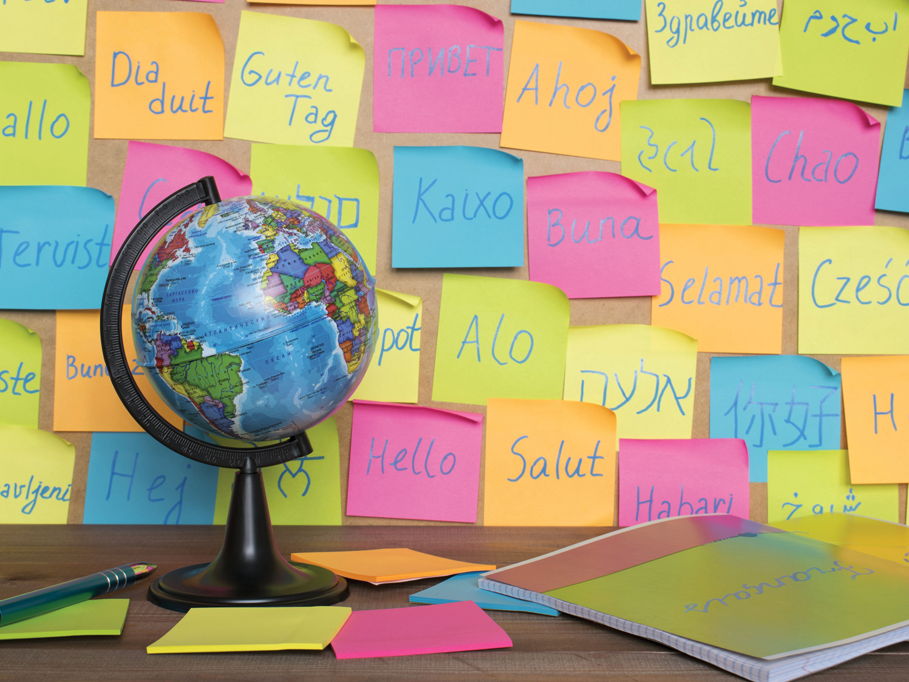 Embracing bilingualism to heal and empower teachers and students