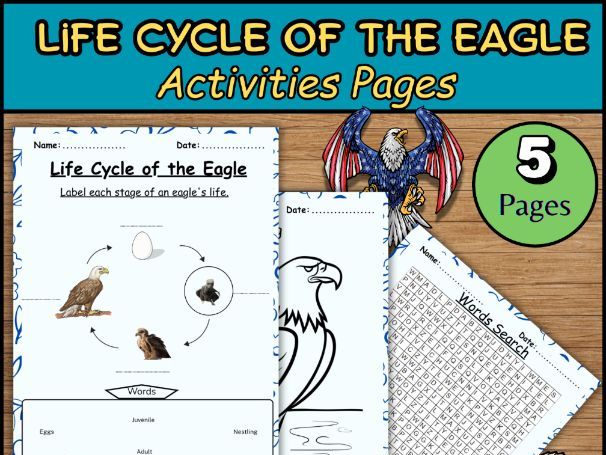 Life cycle of the eagle