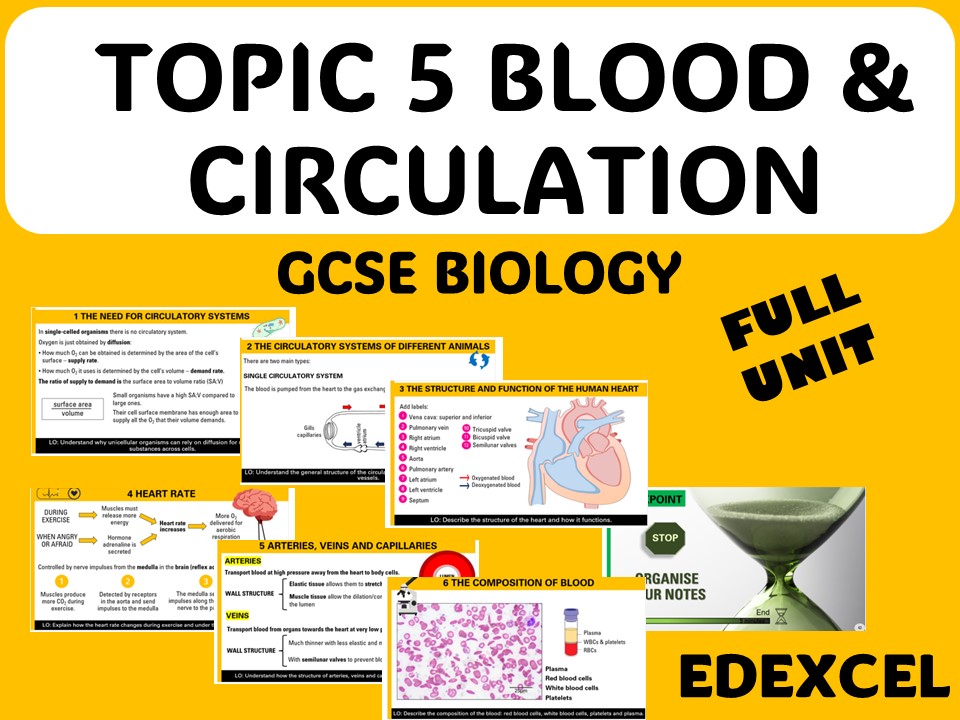 Blood and circulation - GCSE FULL UNIT