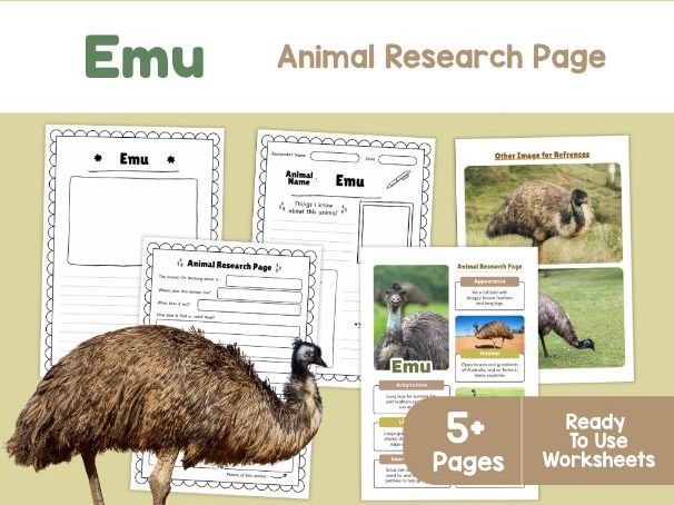Emu Research Project | Flightless Birds and Animal Adaptations