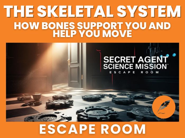 PREMIUM Skeletal System & Anatomy Escape Room - KS3, GCSE